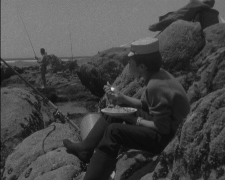 Pesca na Póvoa de Varzim