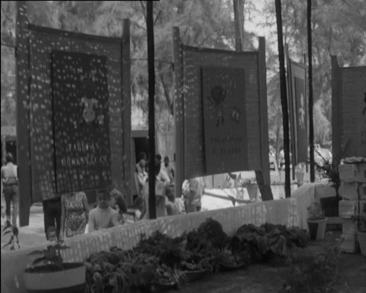 Inauguração de carreira de autocarros em Bissau