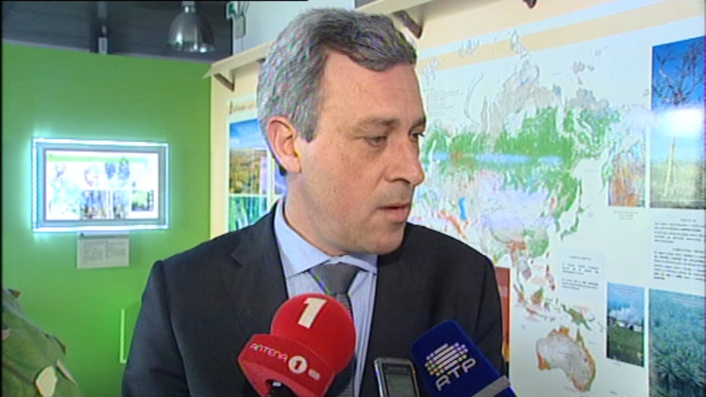 Declarações de Gui Menezes