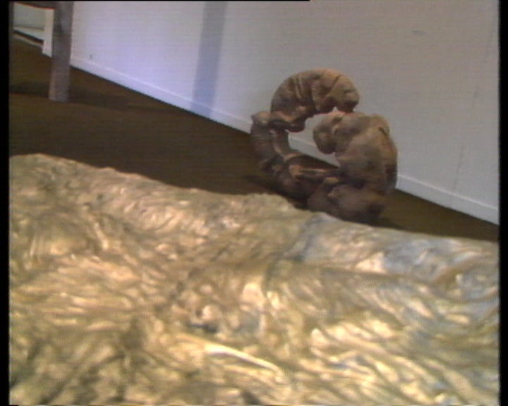 Exposição de Alberto Carneiro