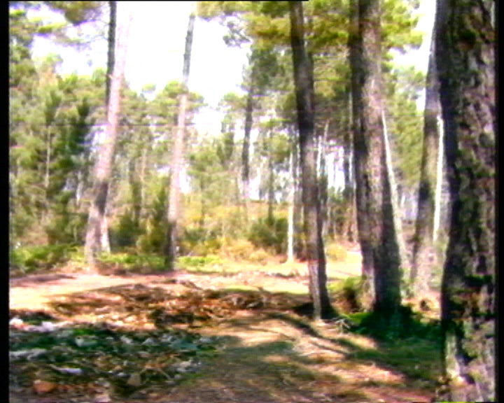 Declarações de Álvaro Amaro