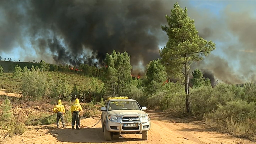 Prevenção de incêndios florestais