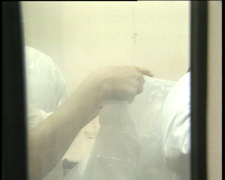 Teste de despistagem da BSE