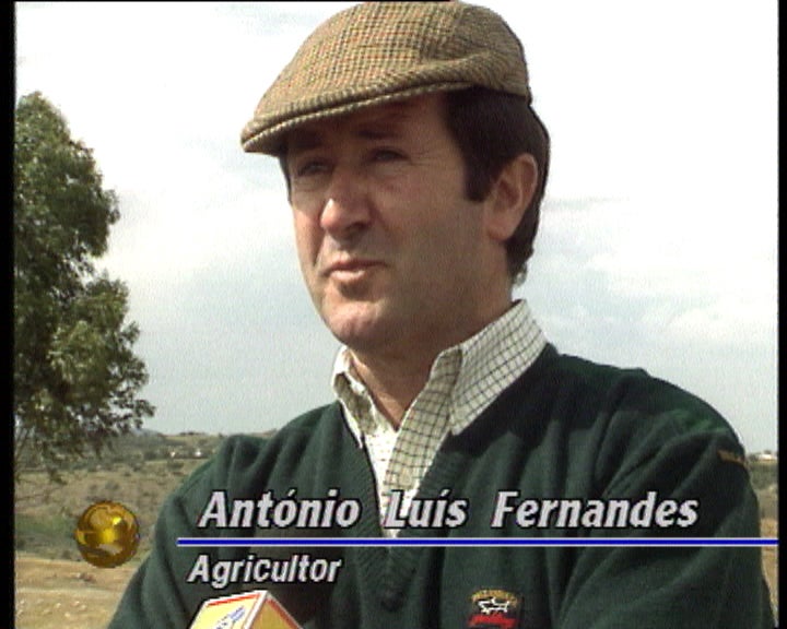 Seca prejudica agricultura