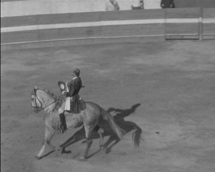 Festas da Senhora da Agonia