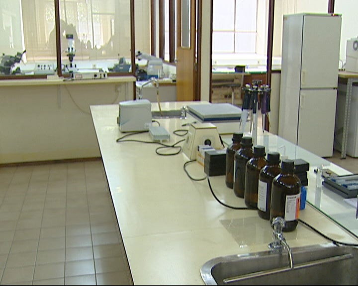 Benefícios do Chá Verde