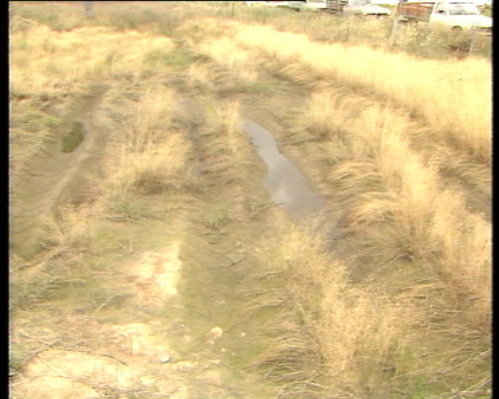 Estragos nas plantações agrícolas