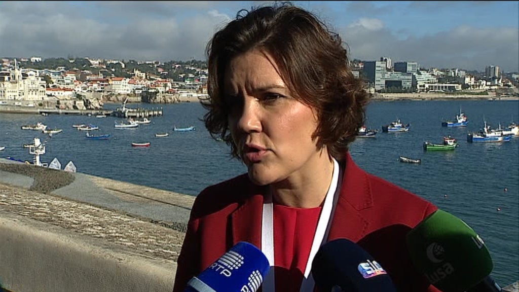 Reações politicas aos coletes amarelos em Portugal