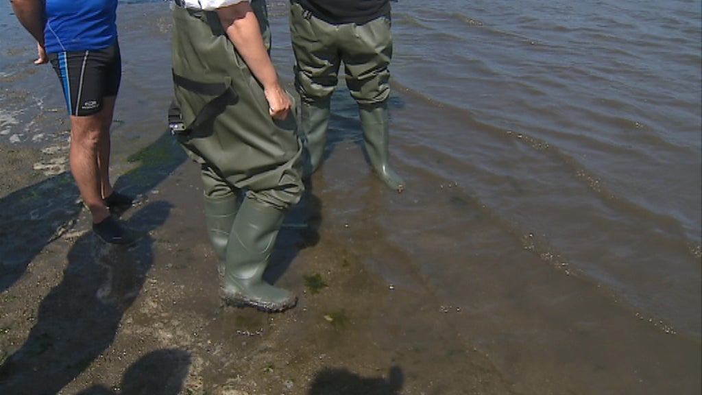 Assunção Cristas em Viana do Castelo