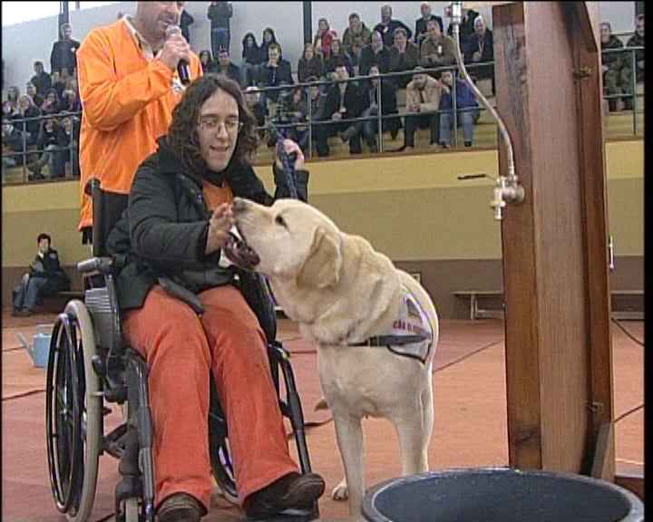 Seminário “Educação e Comportamento Canino”