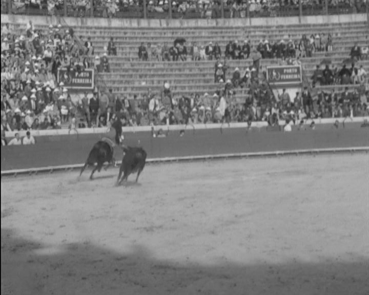 Garraiada no Campo Pequeno