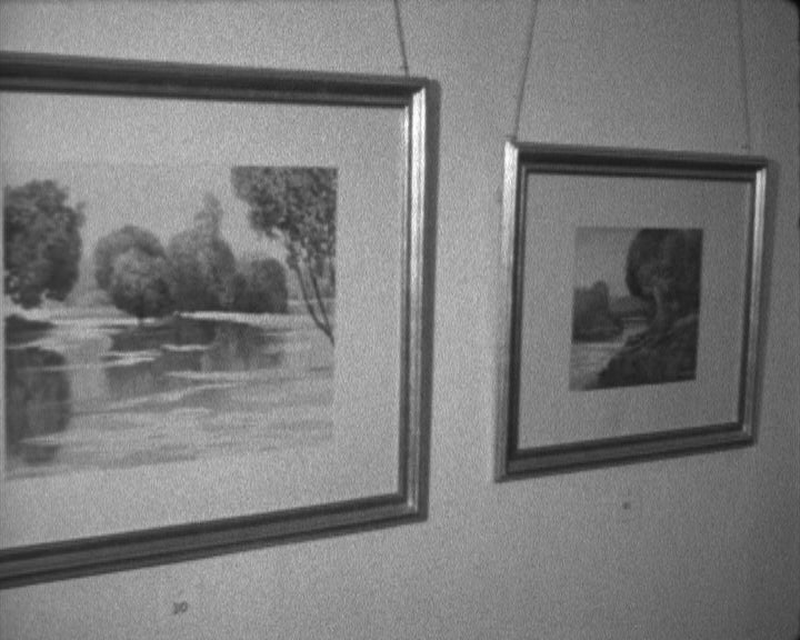 Exposição de Mário Salvador