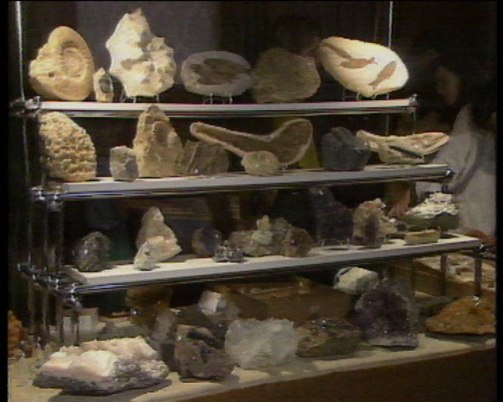 Faculdade de Ciências do Porto reabre Museu de Mineralogia