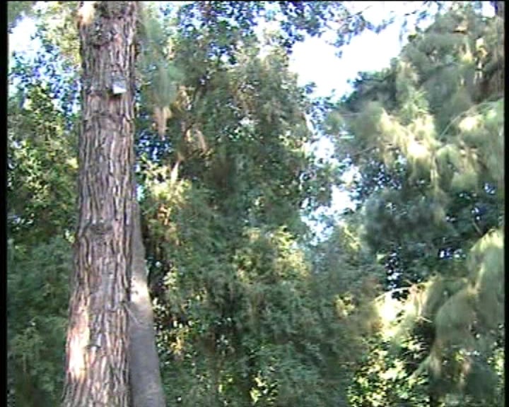 Jardim Botânico de Lisboa