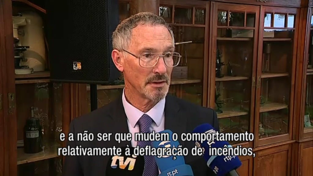 Alerta para fogos florestais