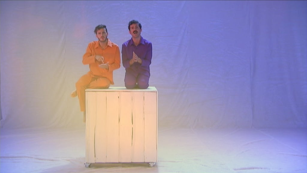 A Viúva e o Pagagaio