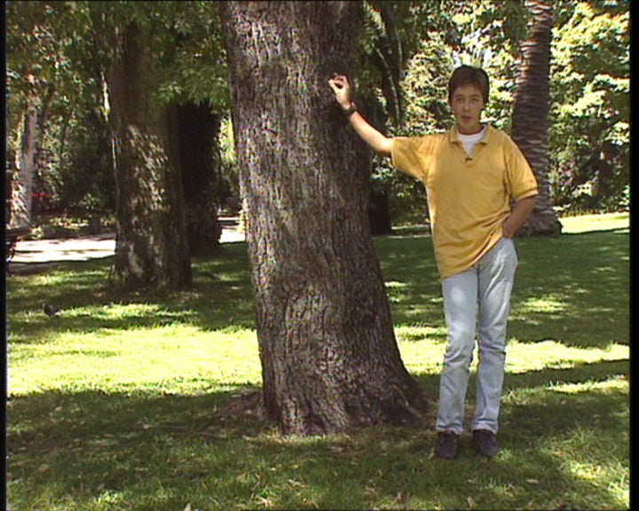 Instantes