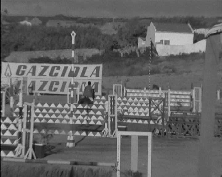 Prova de Hipismo na Ericeira