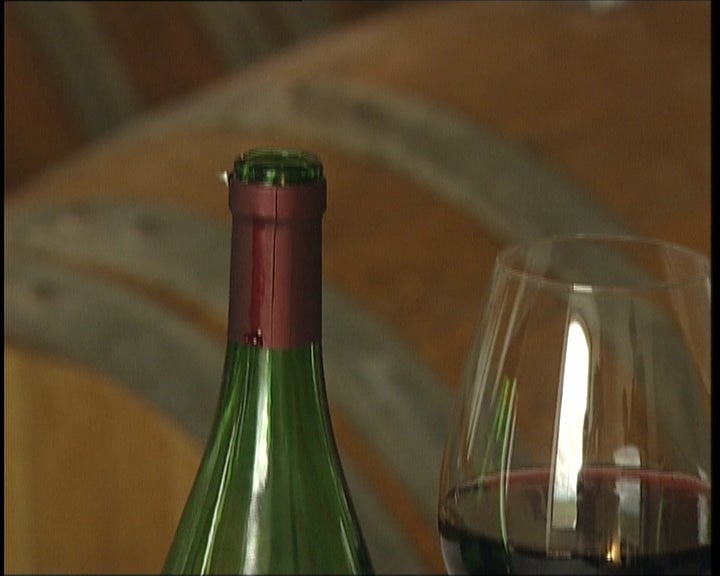 JP Vinhos e gastronomia de Arraiolos