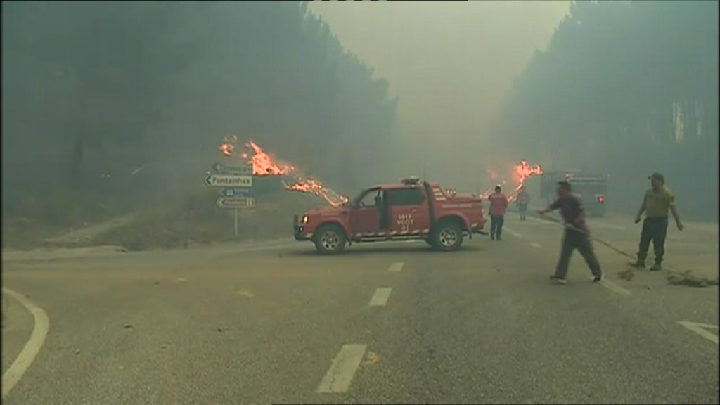 Relatório sobre incêndios florestais em Pedrógão Grande