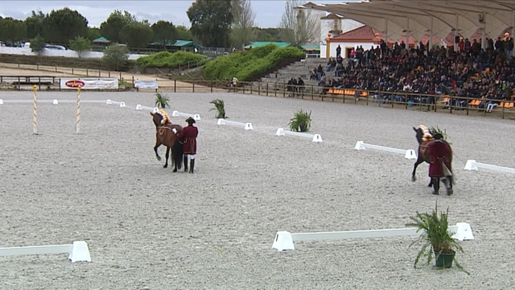 Leilão em Alter do Chão