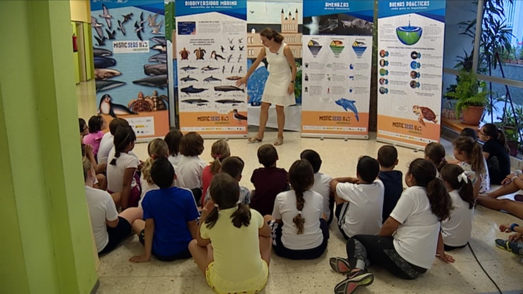 Biodiversidade marinha