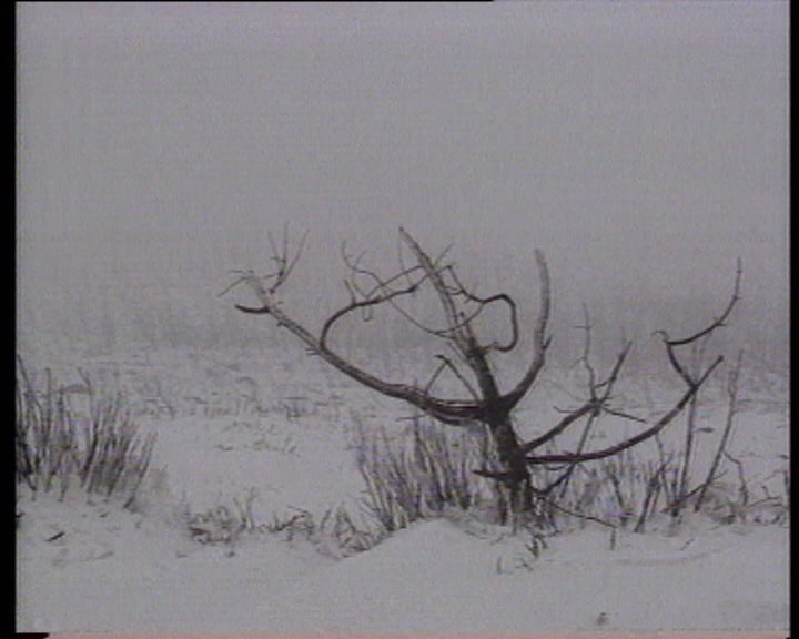 Inverno com muito frio