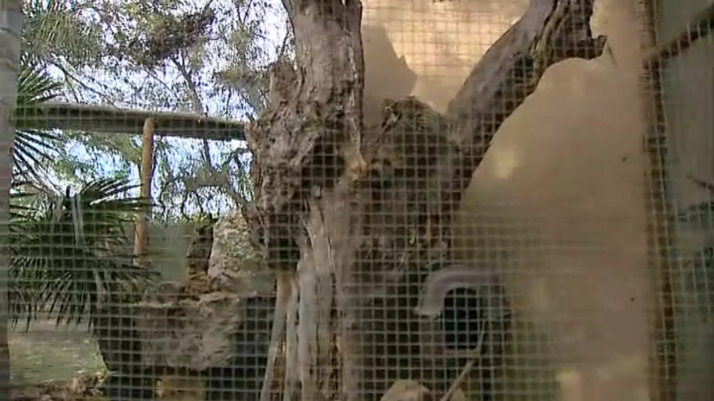 Krazy World em Silves