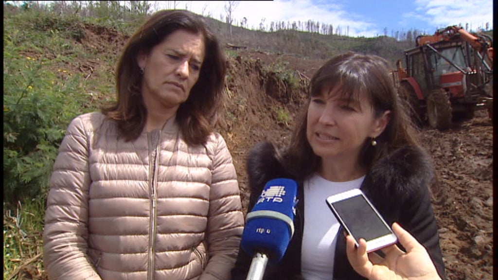 Limpeza de terrenos no sítio da Corujeira