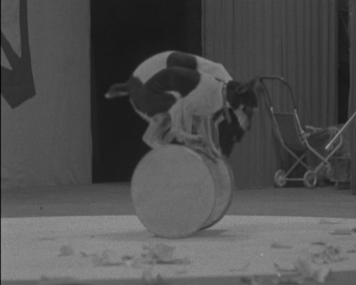 Festa de Natal da RTP