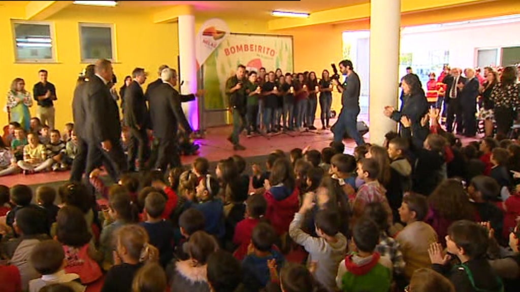 Plantação de Carvalhos e Sobreiros