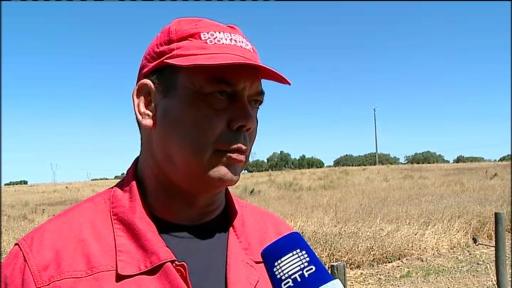 Queda de aeronave em Ferreira do Alentejo