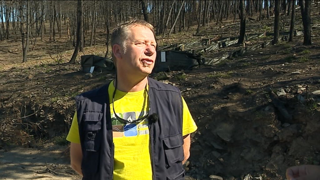 Estação piloto para a recuperação de áreas ardidas