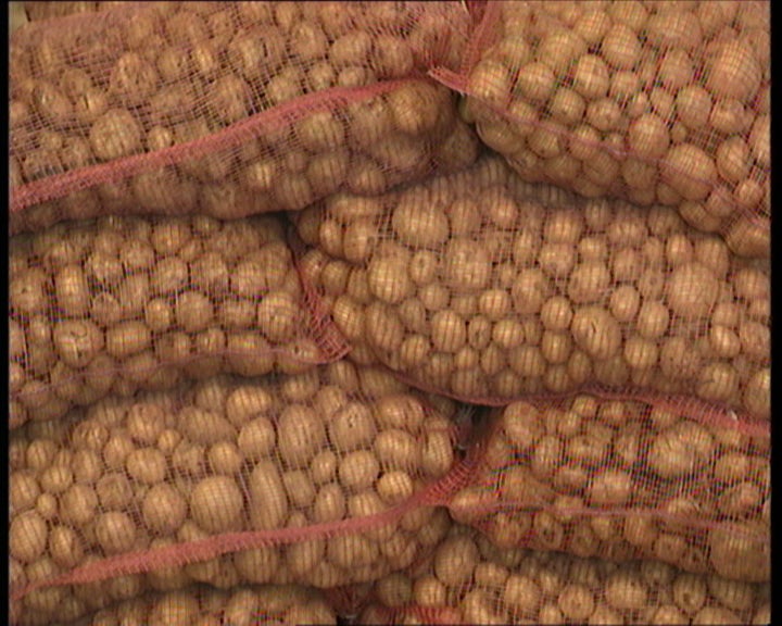 A agricultura biológica em Portugal