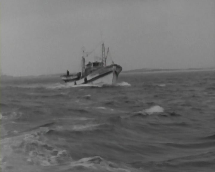 Pescadores das Traineiras