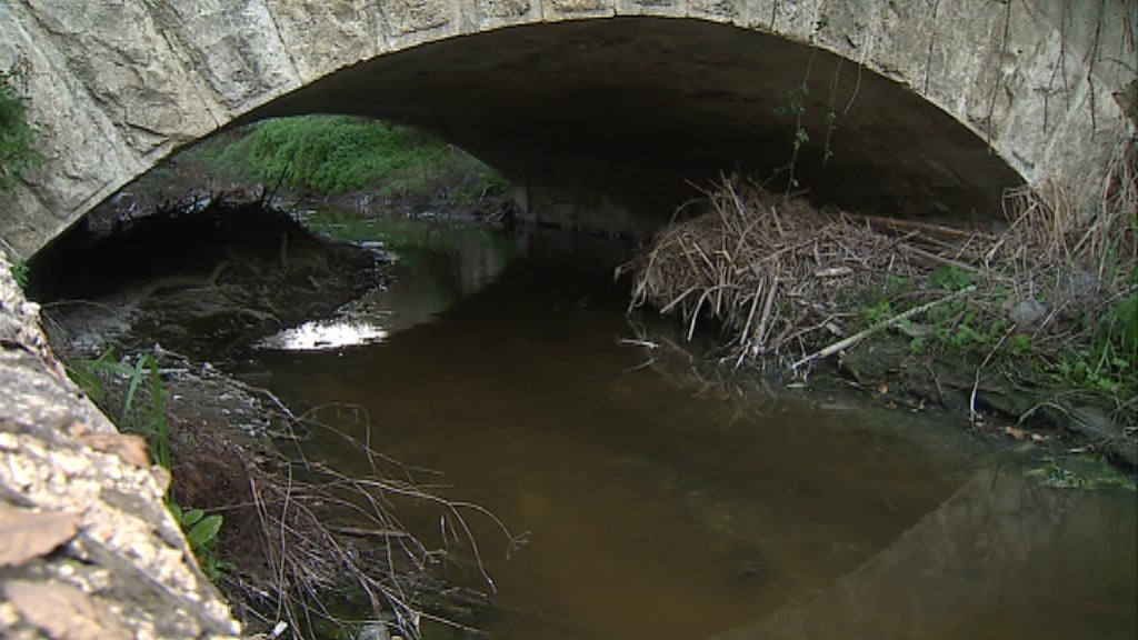 Poluição no rio Tejo
