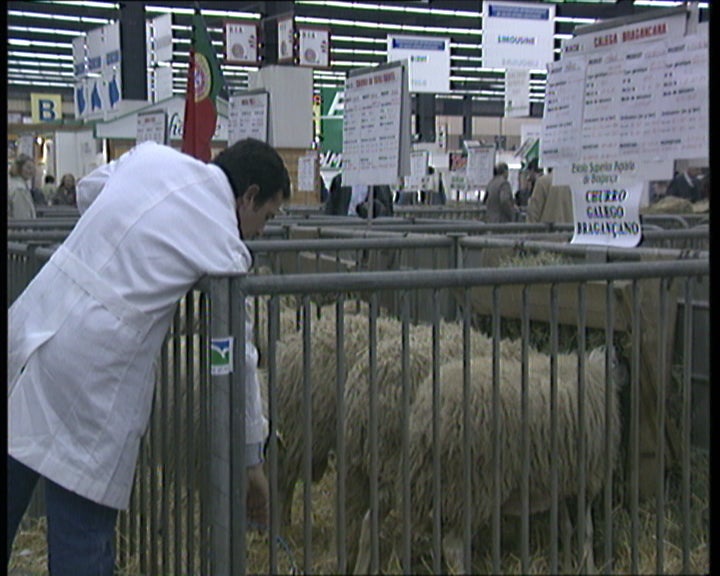 Feira internacional de Paris II