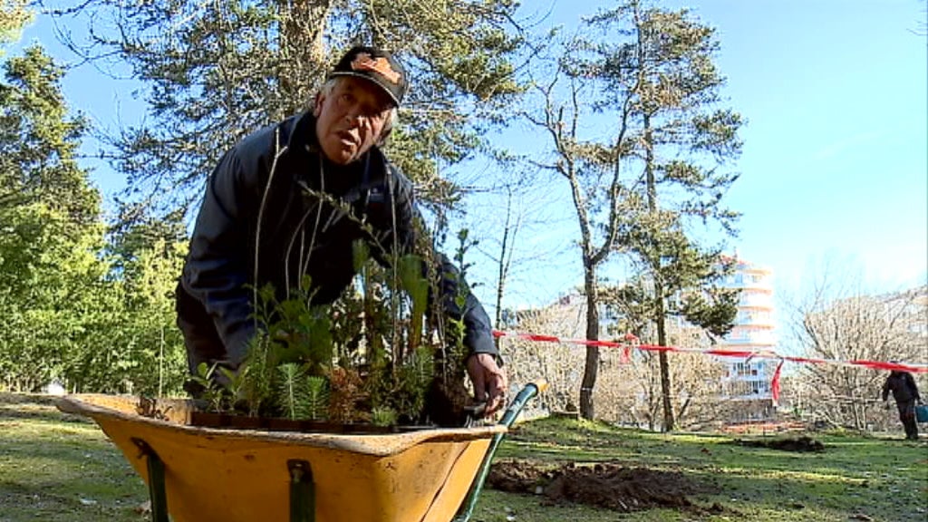 Reflorestação do Parque da Saúde da Guarda