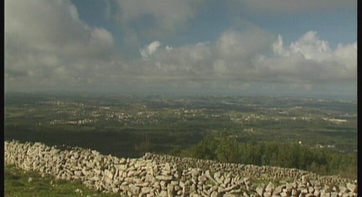 Regresso a Alcobaça