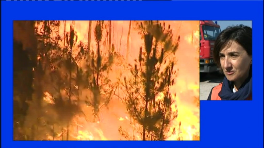 Incêndios florestais na região de Abrantes