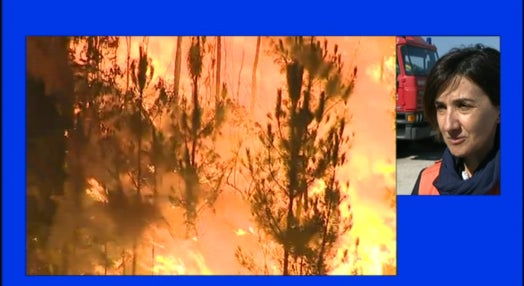 Incêndios florestais na região de Abrantes