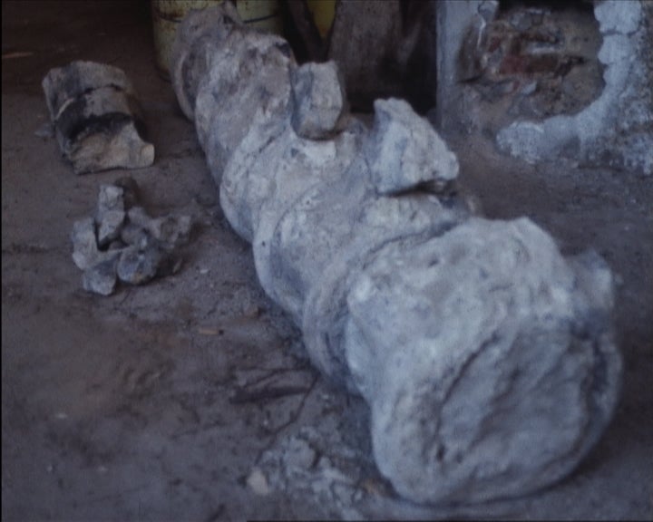 Descoberta de dinossauro em Casal do Vale