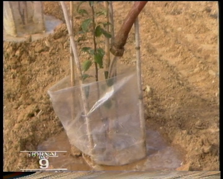 Caracterização do distrito de Leiria