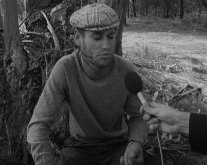 Reportagem do Dia de Trabalho