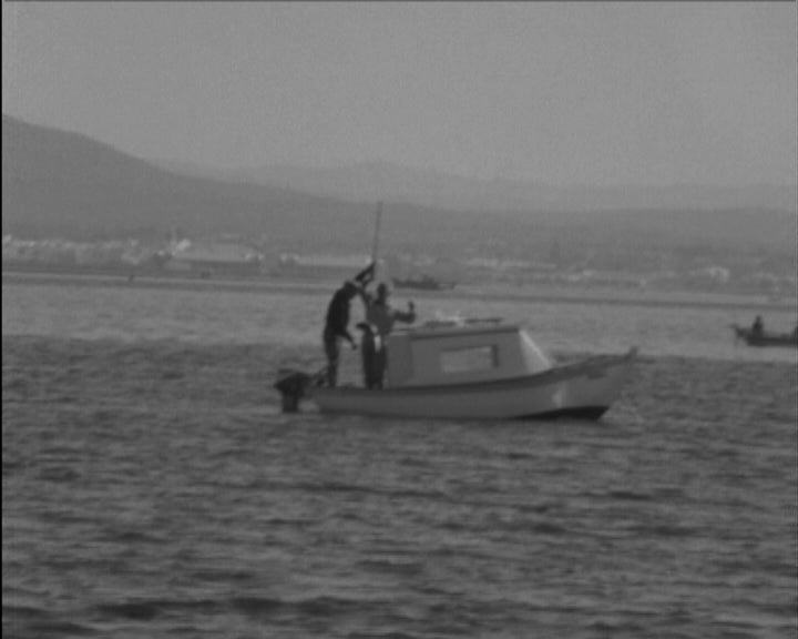 Concurso de pesca em Faro