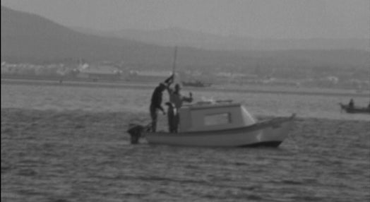 Concurso de pesca em Faro