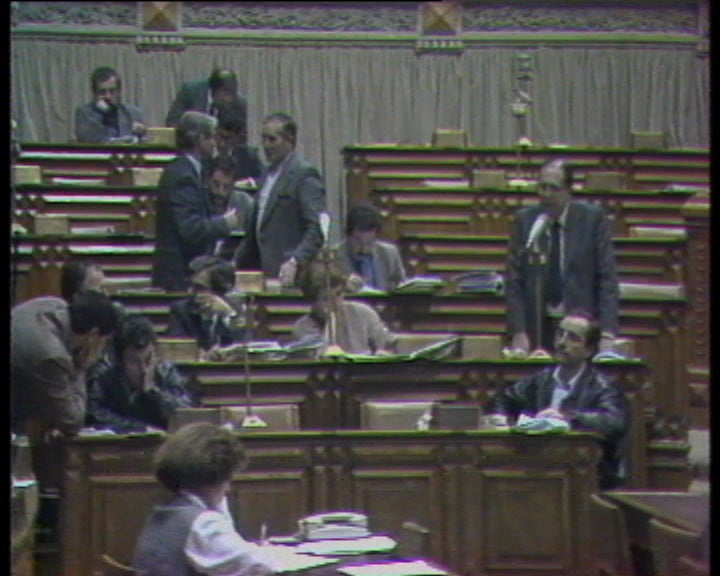 Propostas para a revisão da Constituição II