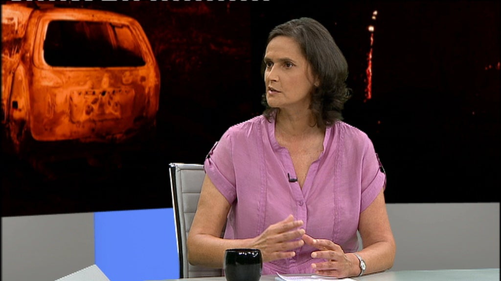 Entrevista a Rosário Alves