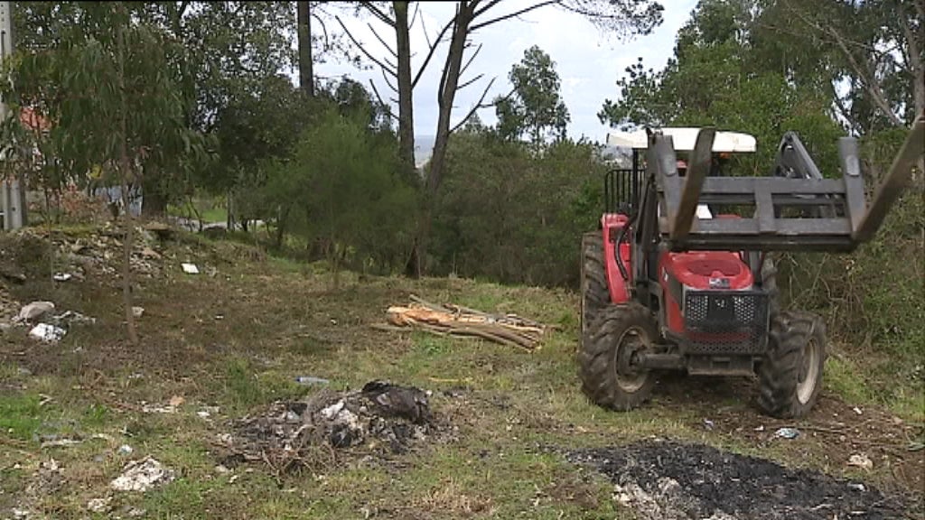 Limpeza de terrenos