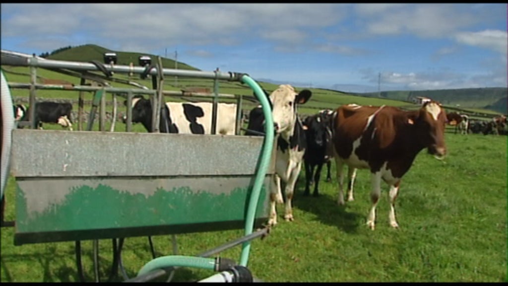 Unicol baixa preço do leite